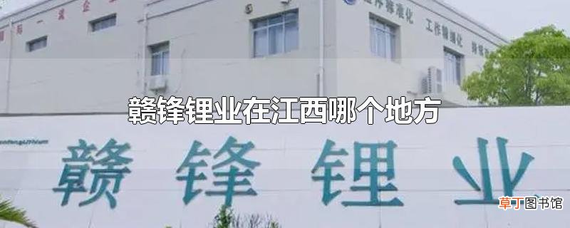 赣锋锂业在江西哪个地方