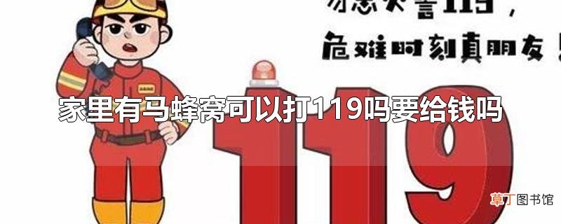 家里有马蜂窝可以打119吗要给钱吗