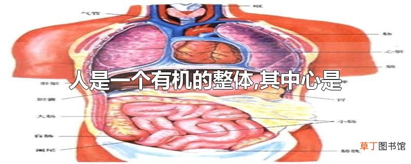 人是一个有机的整体,其中心是