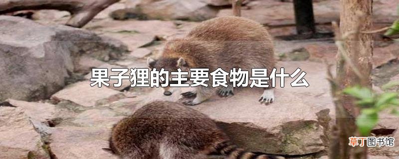 果子狸的主要食物是什么
