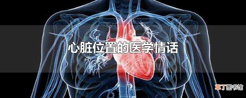 心脏位置的医学情话