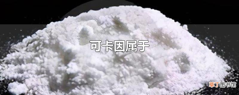 可卡因属于