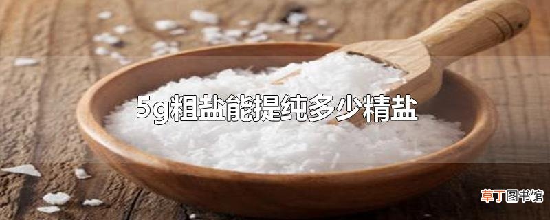 5g粗盐能提纯多少精盐