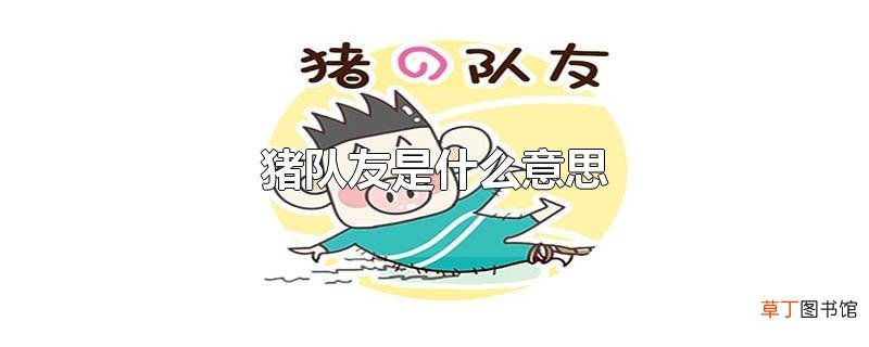 猪队友是什么意思