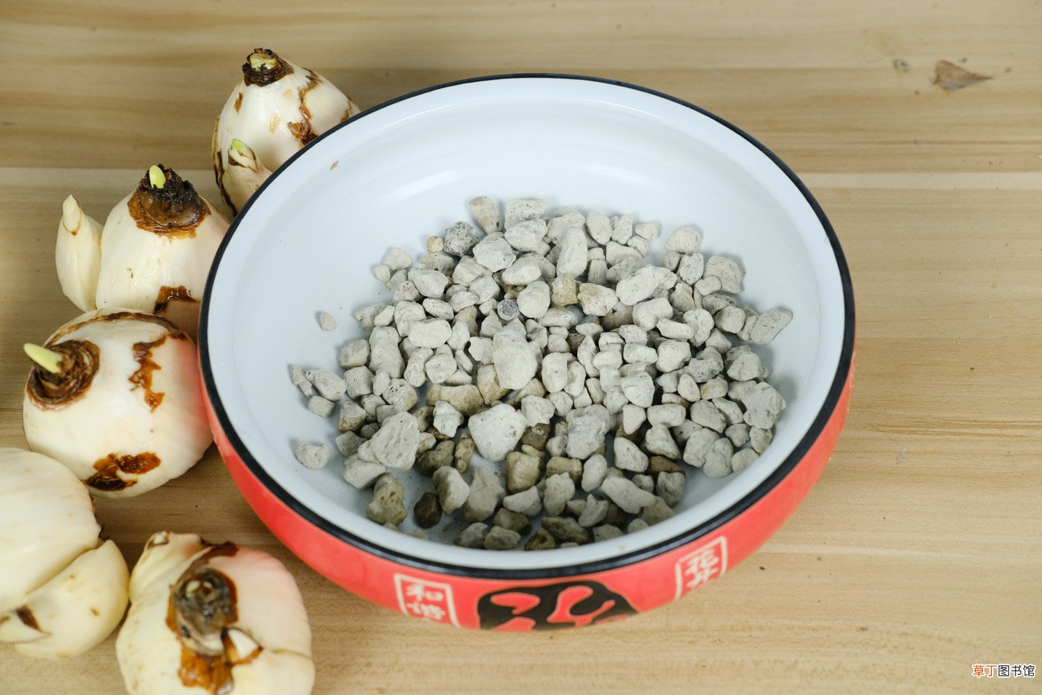 水仙花的养殖方法