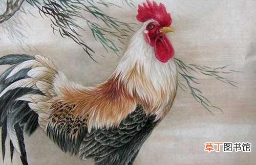 属鸡人适合在哪些城市发展 2021年属鸡的跳槽怎么样