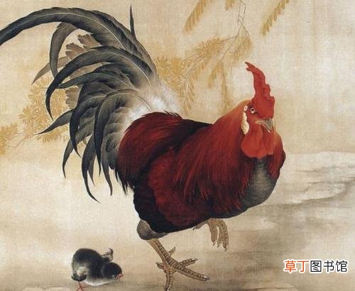 属鸡人适合在哪些城市发展 2021年属鸡的跳槽怎么样