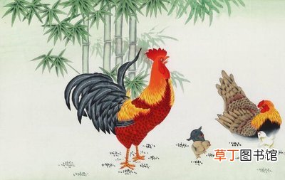 2021年属鸡犯什么煞 2021年属鸡不吉利方向