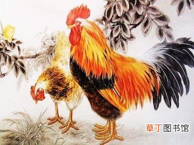 属鸡2021年财运在哪个方向 2021年属鸡吉祥方位