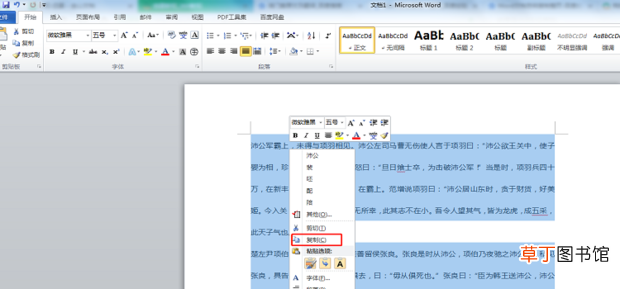 Word怎么复制一整页