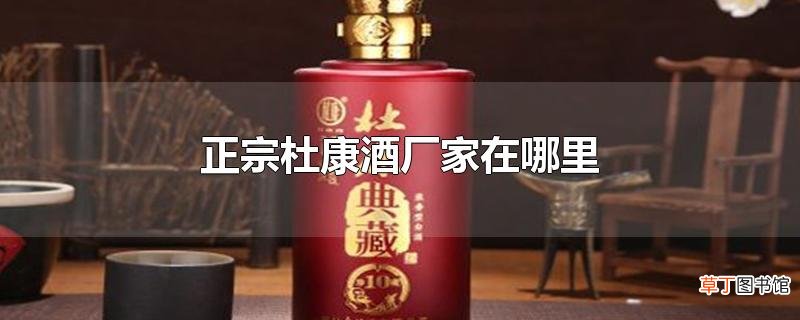 正宗杜康酒厂家在哪里