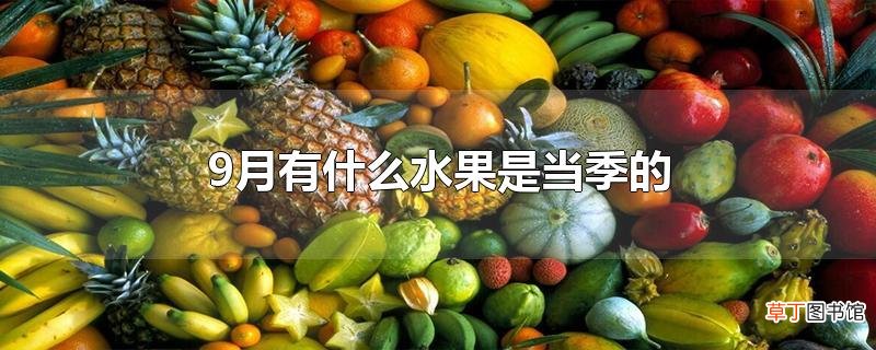 9月有什么水果是当季的
