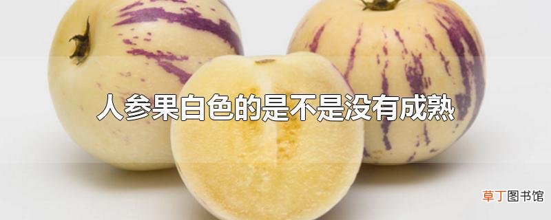 人参果白色的是不是没有成熟