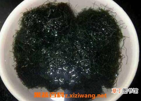 海发菜和发菜的区别有哪些