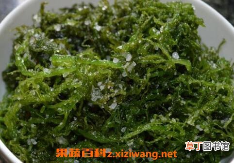 海发菜如何吃 海发菜的食用方法