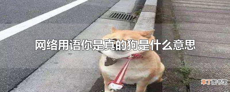 网络用语你是真的狗是什么意思