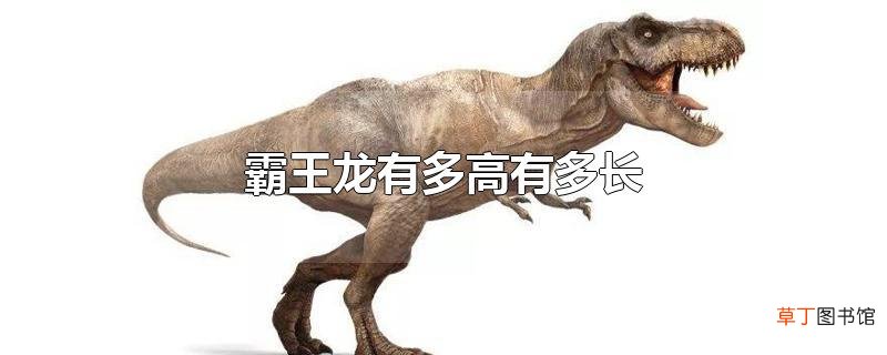 霸王龙有多高有多长