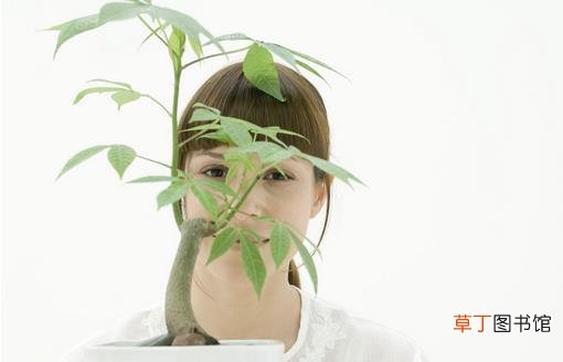 女人养生别犯这些误区！
