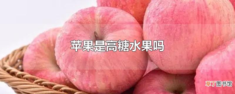 苹果是高糖水果吗
