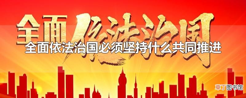 全面依法治国必须坚持什么共同推进