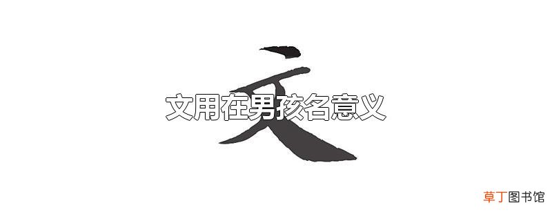 文用在男孩名意义
