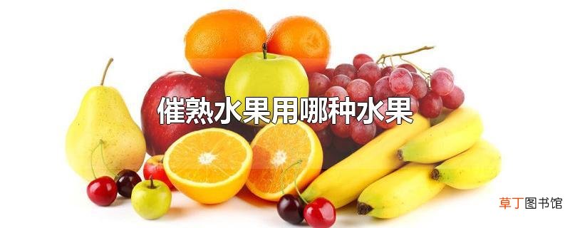 催熟水果用哪种水果