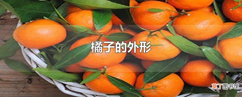 橘子的外形
