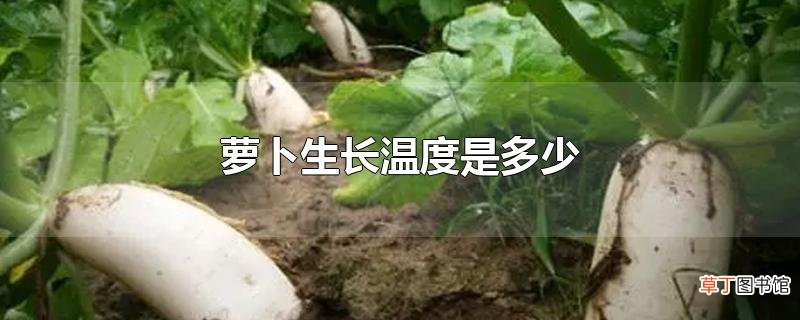 萝卜生长温度是多少