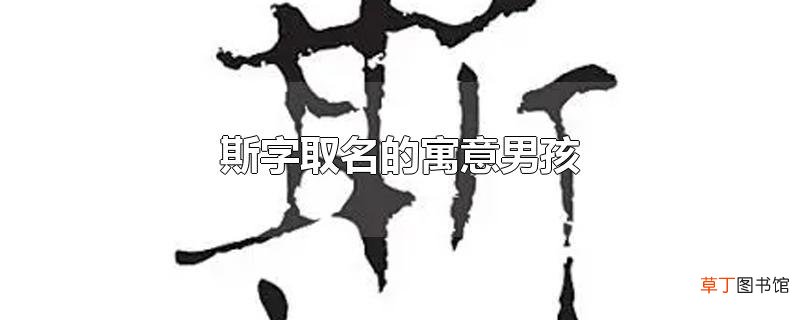 斯字取名的寓意男孩