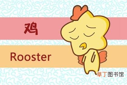 1981年属鸡会旺的数字 1981年属鸡永久幸运数字