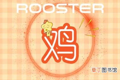 81年鸡哪年转大运 81属鸡人的灾难年龄