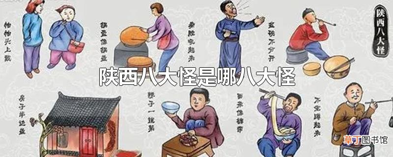 陕西八大怪是哪八大怪