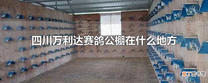 四川万利达赛鸽公棚在什么地方