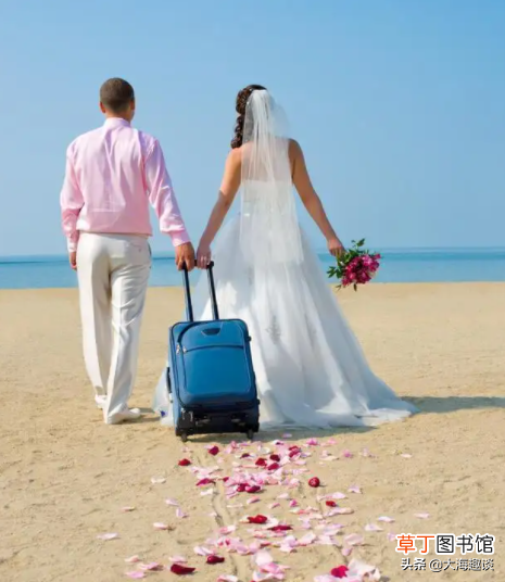结婚为什么免费观看 结婚为什么免费观看全集？
