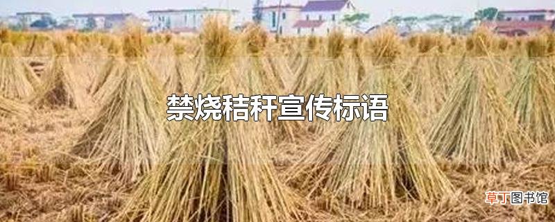 禁烧秸秆宣传标语