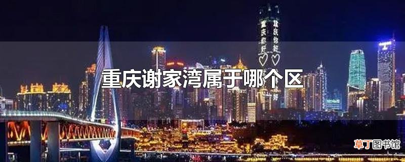 重庆谢家湾属于哪个区