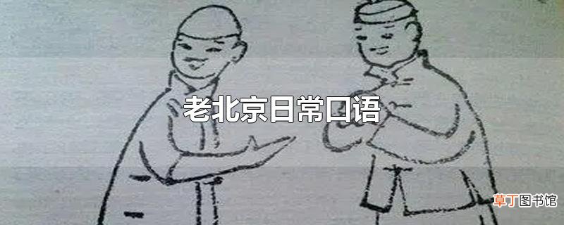 老北京日常口语