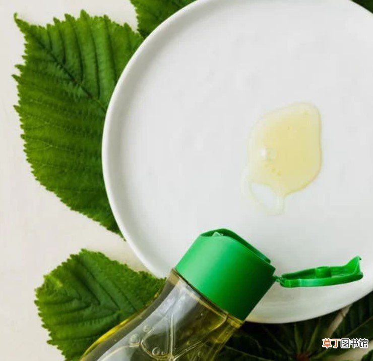 艾草精油能用脸上吗