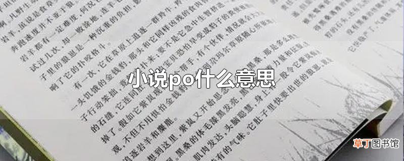 小说po什么意思