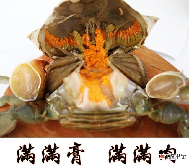 活螃蟹怎么保存才能活得时间久，这几个方法很实用