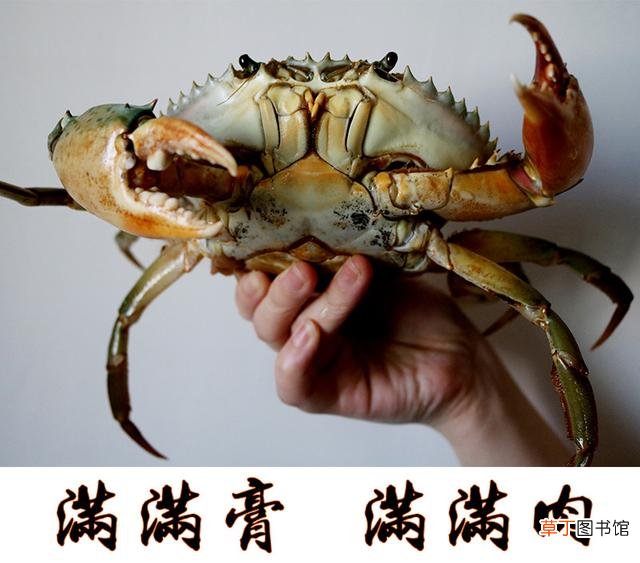 活螃蟹怎么保存才能活得时间久，这几个方法很实用
