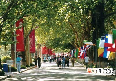 300分能上什么大学理科 300多分的专科学校大全