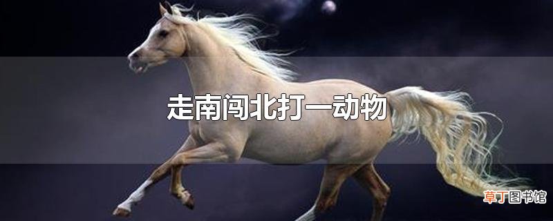 走南闯北打一动物