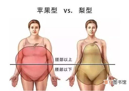 晚饭太饱胃会被撑大，坚持不吃胃会越饿越小，是真相还是谣言？