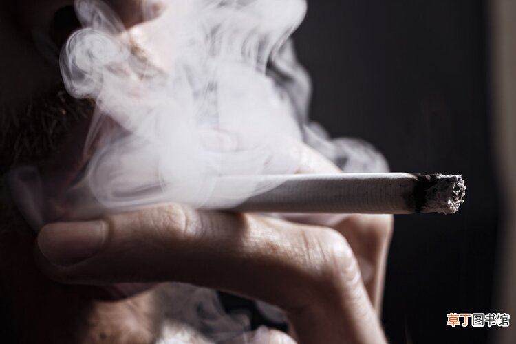 饭后到底不能做什么？医生万分叮嘱：4件事最好别碰，太“折寿”