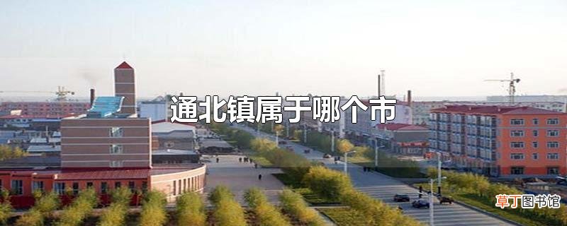 通北镇属于哪个市
