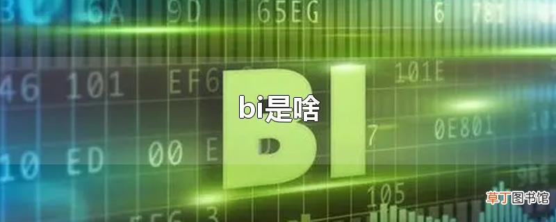 bi是啥