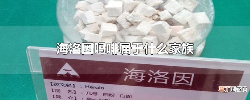 海洛因吗啡属于什么家族