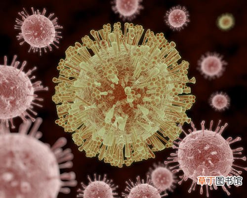 新型冠状病毒高温能杀死吗-高温能不能杀死新型冠状病毒