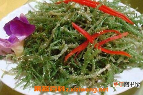 鹿角菜的功效与作用
